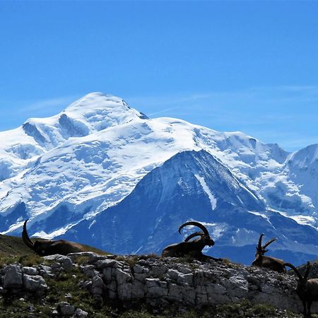 Vintage Chic -Central, Wifi, Mountain View Les Carroz d'Araches Luaran gambar