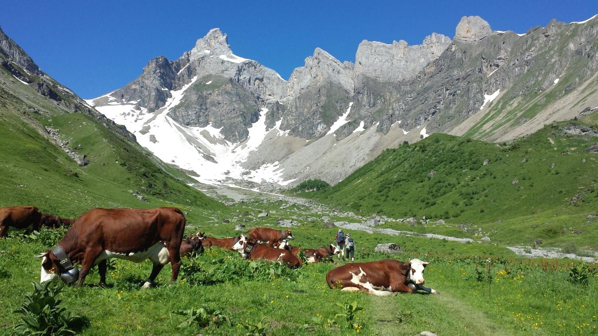 Vintage Chic -Central, Wifi, Mountain View Les Carroz d'Araches Luaran gambar